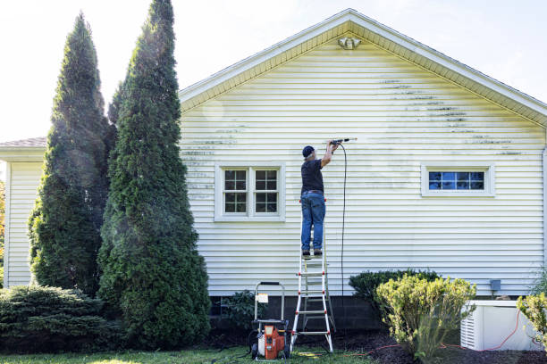 Best Roof Pressure Washing  in Mentone, IN